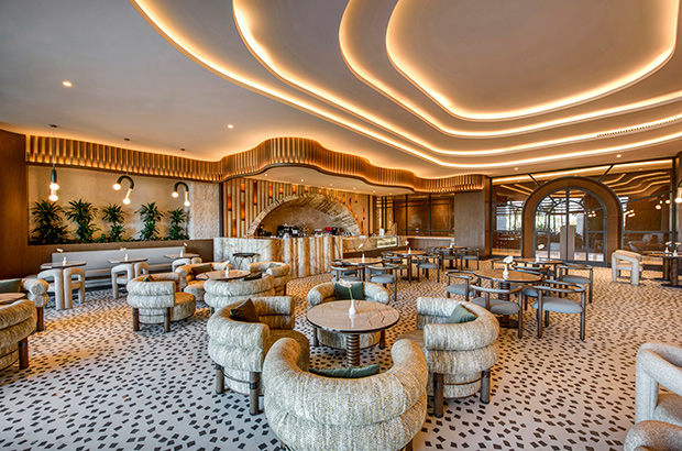 REGNUM THE CROWN PAOLA PATISSERIE 01 Card