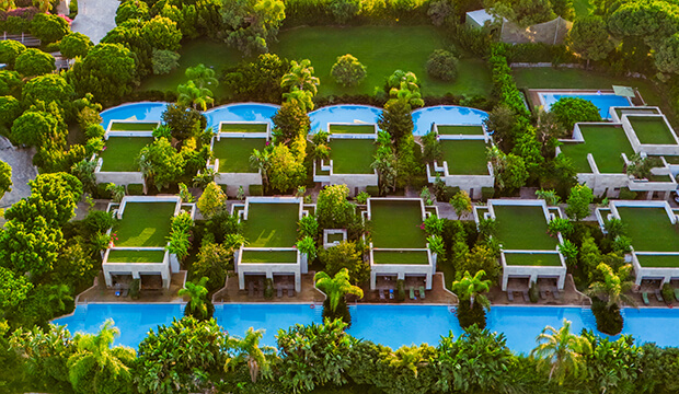 Regnumcarya Post86 S